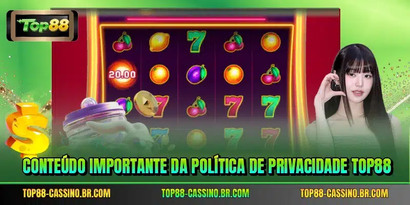 Conteúdo importante da política de privacidade TOP88
