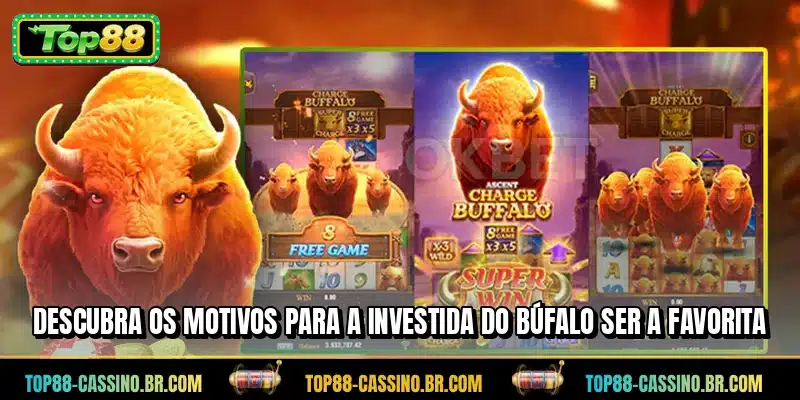 Descubra os motivos para a Investida do Búfalo ser a favorita