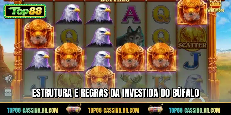 Estrutura e regras da Investida do Búfalo